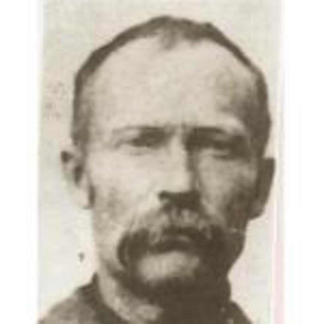 William Austin McCrary (1850 - 1893) Profile